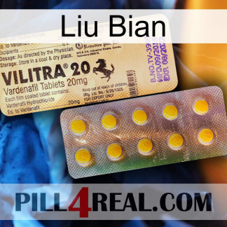 Liu Bian new06